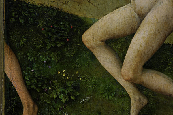 R.v.d. Weyden, Flowers and plants von Rogier van der Weyden