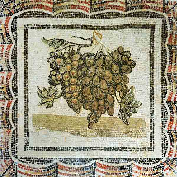 Bunch of white grapes, Roman mosaic (mosaic) von Roman