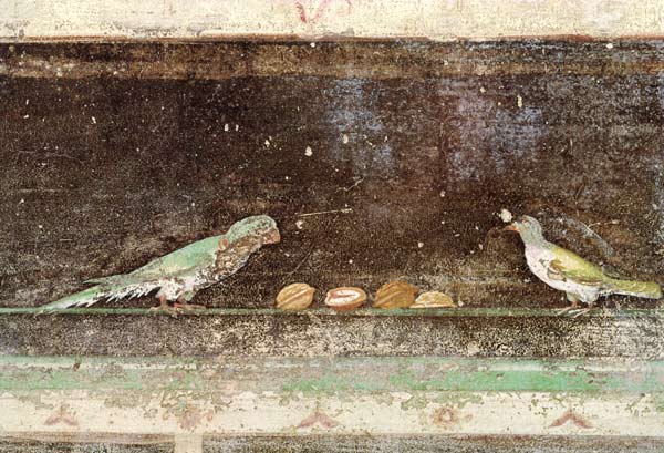 Birds eating nuts, detail from a tablinium decorated with Egyptian-style paintings von Roman