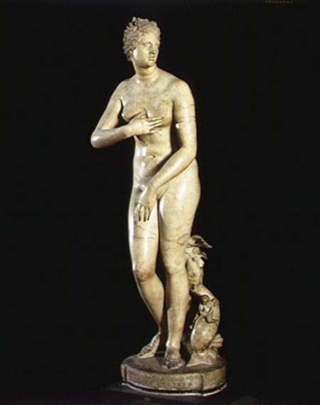 The Medici Venus von Roman