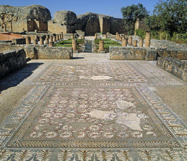 View of the ruins and a mosaic floor (photo)  von Roman