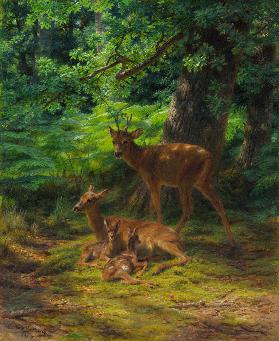 Deer in Repose 1867