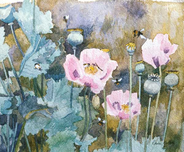 Pink poppies with bees (w/c)  von Rosalie  Bullock