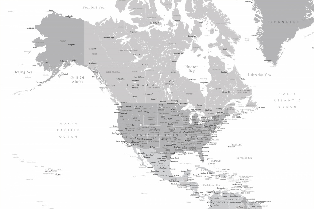 Graue Karte von Nordamerika mit Städten von Rosana Laiz Blursbyai