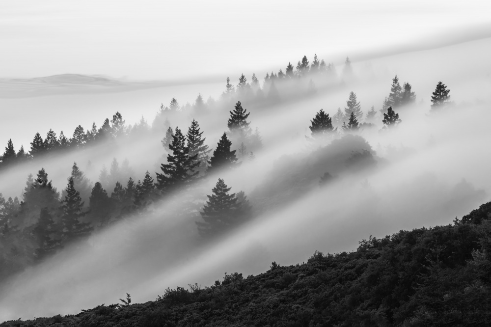 Fließender Nebel von Ryan Li
