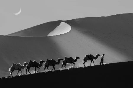 Badain Jaran Wüste-2