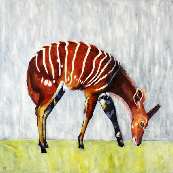 Nyala-Antilope von Sabine Oel-Cocco