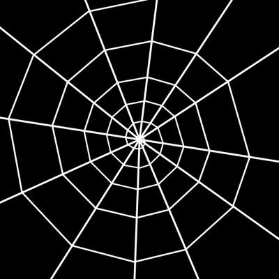 Spinnennetz von Sabine Schaefer