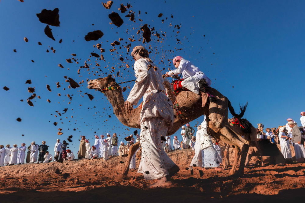 Kamelrennen von Sami_alhinai