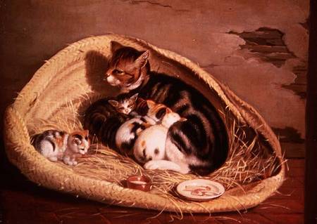 Cat with Her Kittens in a Basket von Samuel de Wilde