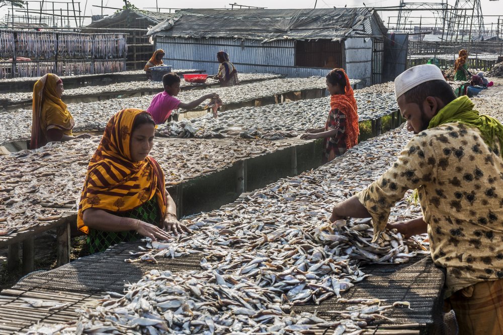 Trockenfischsortierung von SANCHAYAN CHOWDHURY