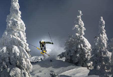 Ski ist Leben