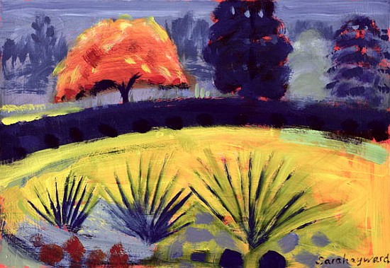 Botanical Gardens, Autumn (oil on card)  von Sara  Hayward
