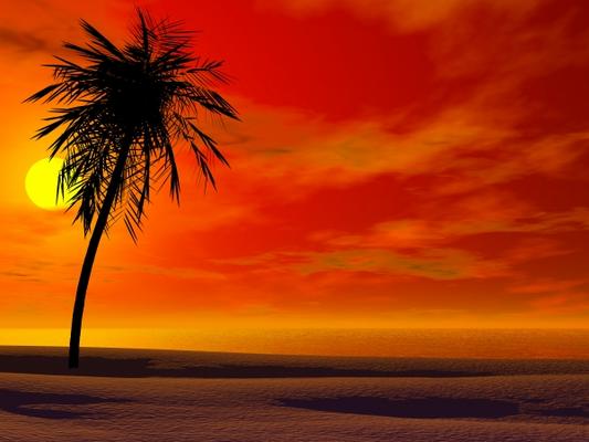 Tropical sunset von Sarah Holmlund