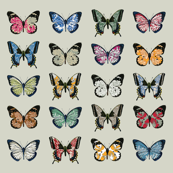 Papillon von Sarah Hough