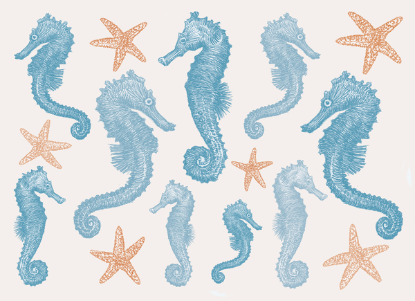 Seahorses and Starfish von Sarah Hough