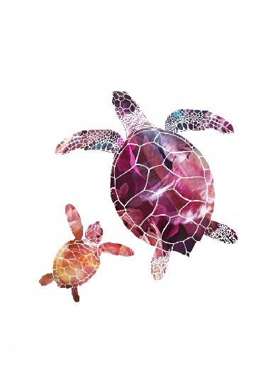 Abstrakte rosa Schildkröten