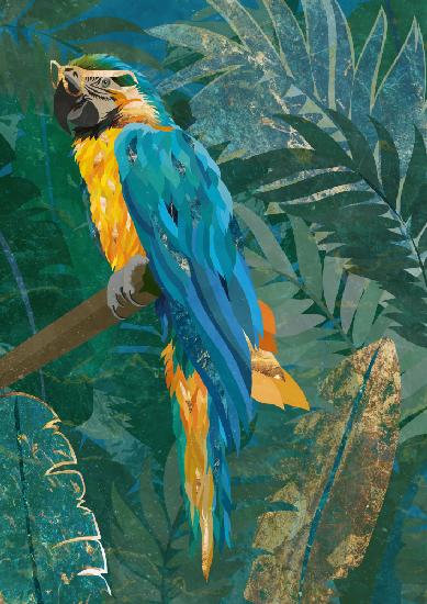 Blauer Papagei im Regenwald
