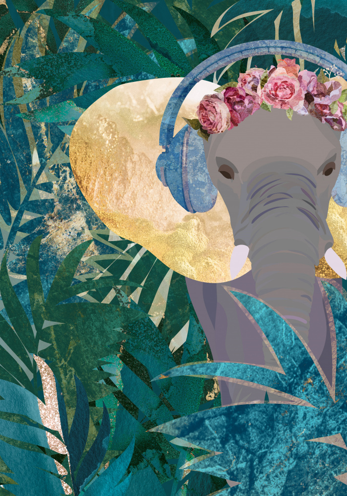 Elefant hört Musik von Sarah Manovski