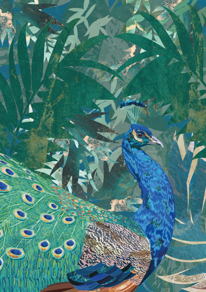 Pfau im tropischen Dschungel von Sarah Manovski