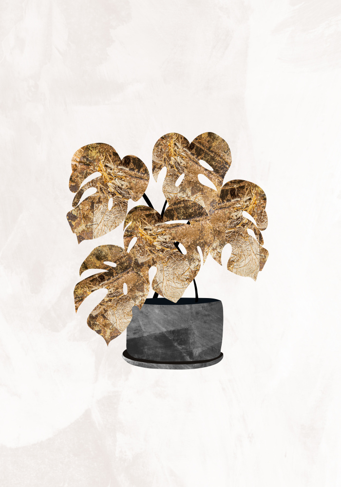 Schwarz-goldene Zimmerpflanze 5 von Sarah Manovski