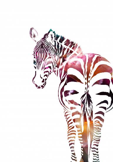 Zebra-Silhouette
