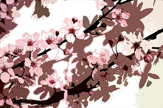 Japanese Blossom (colour photo)  von Sarah  O'Toole