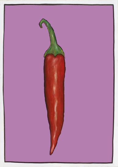 Chilli pepper purple 2004