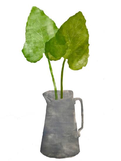 grey jug with leaves 2020