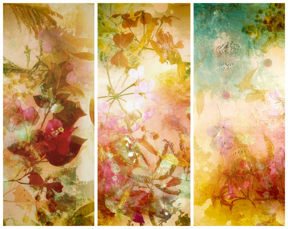 Blumenabstraktionen mit Mimosen,Muscheln und Bougainvillea,die im Wasser schwimmen. Trilogie. von Saskia Dingemans