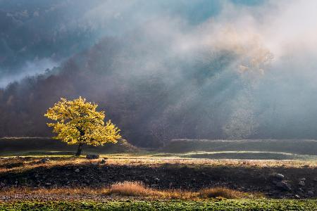 Oktoberlicht