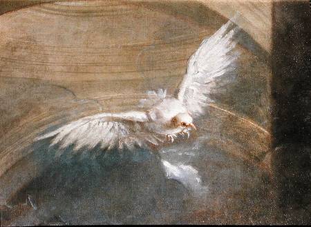 The Dove of the Holy Spirit  (detail of 230043) von Sebastiano Bombelli