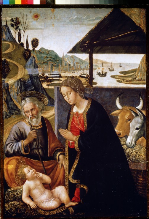 Die Geburt Christi von Sebastiano Mainardi
