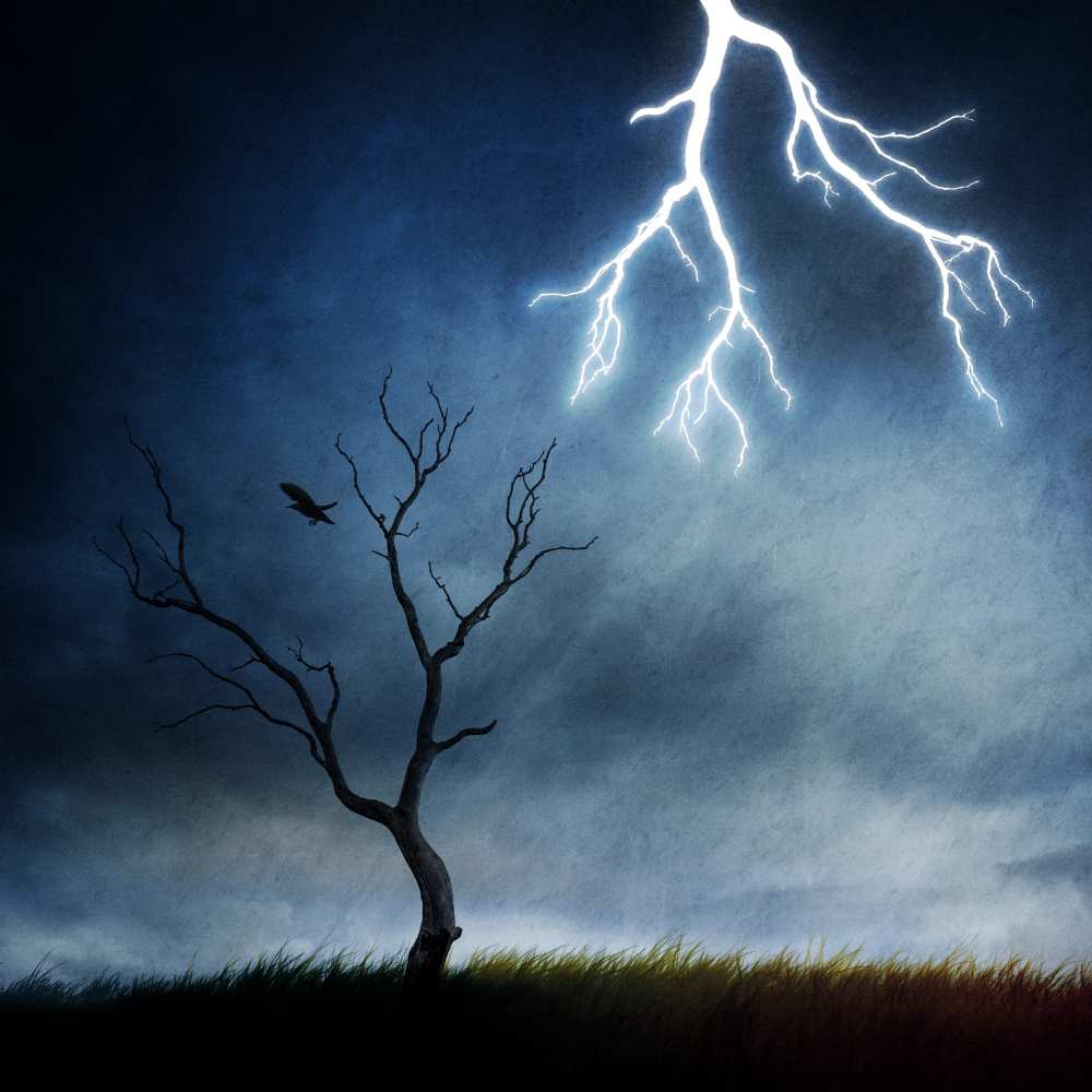 lightning tree von Sebastien DEL GROSSO