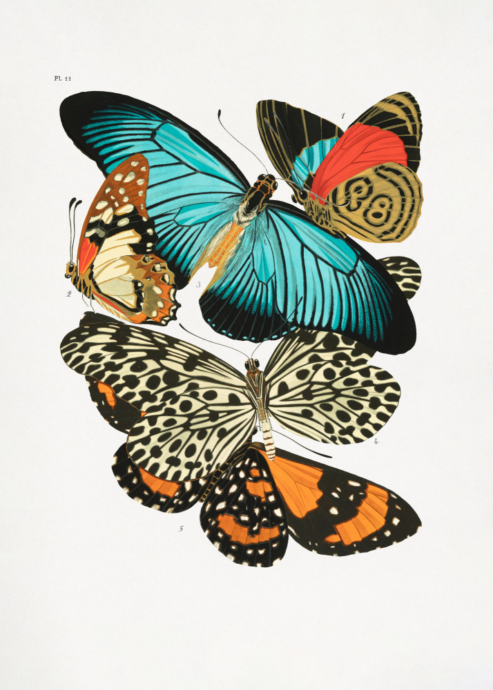 Schmetterlinge 1 von Émile-Allain Séguy