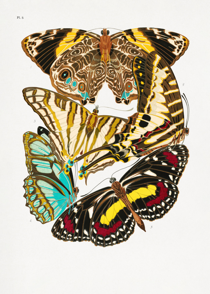 Schmetterlinge 10 von Émile-Allain Séguy