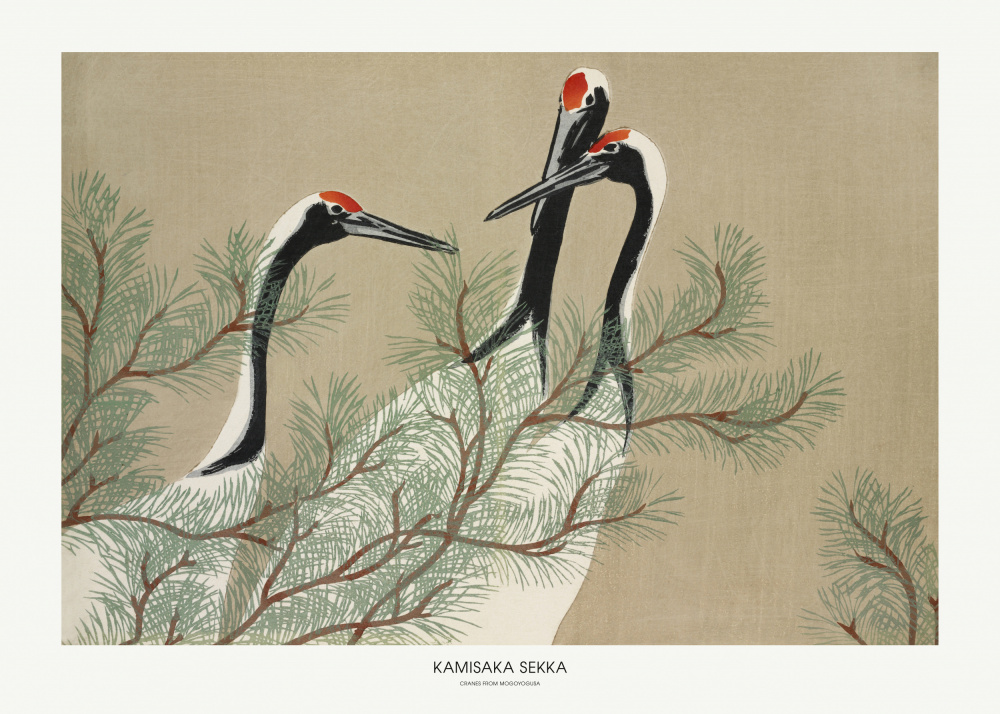 Kraniche aus Momoyogusa von Kamisaka Sekka