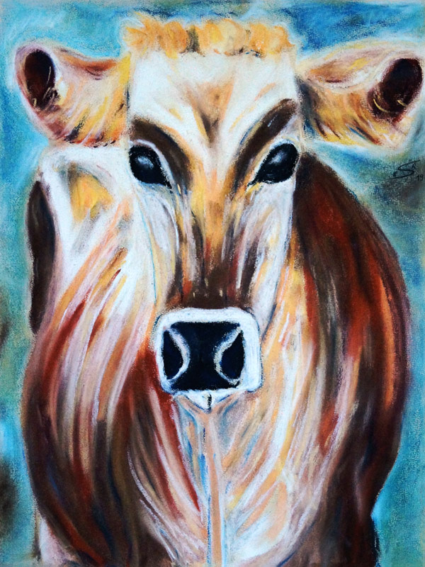Kuh auf Göscheneralp in Schweiz von Eva Seltmann-Reinig
