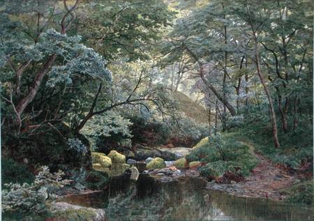 A Woodland Stream von S.G. Williams Roscoe