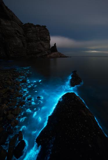 Fluoreszierendes Meer