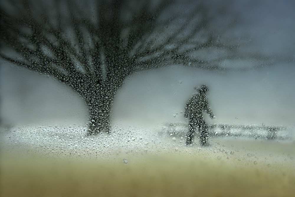 Man in Nature - Winter von Shenshen Dou