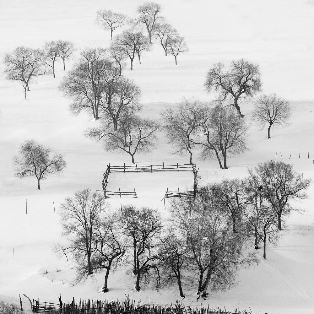 Schwarz-weiße Welt,ruhig wartend. von Shu-Guang Yang