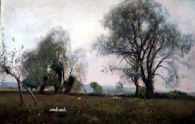 Down in the watermeadows 1893