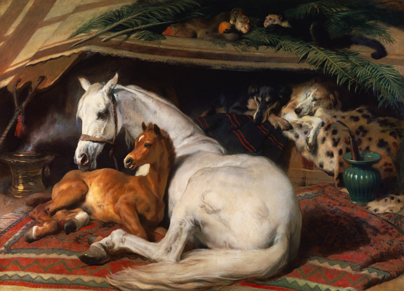 Das Araber - Fohlen von Sir Edwin Henry Landseer