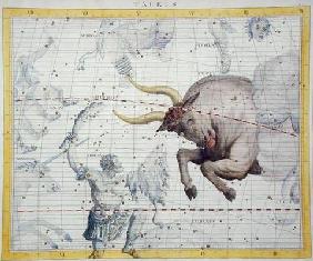 Constellation of Taurus, plate 2 from 'Atlas Coelestis', by John Flamsteed (1646-1710), published in 1910