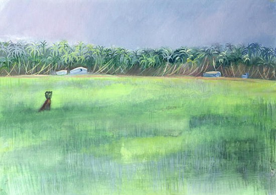 Rice Fields, Goa, India, 1997 (oil on paper)  von Sophia  Elliot