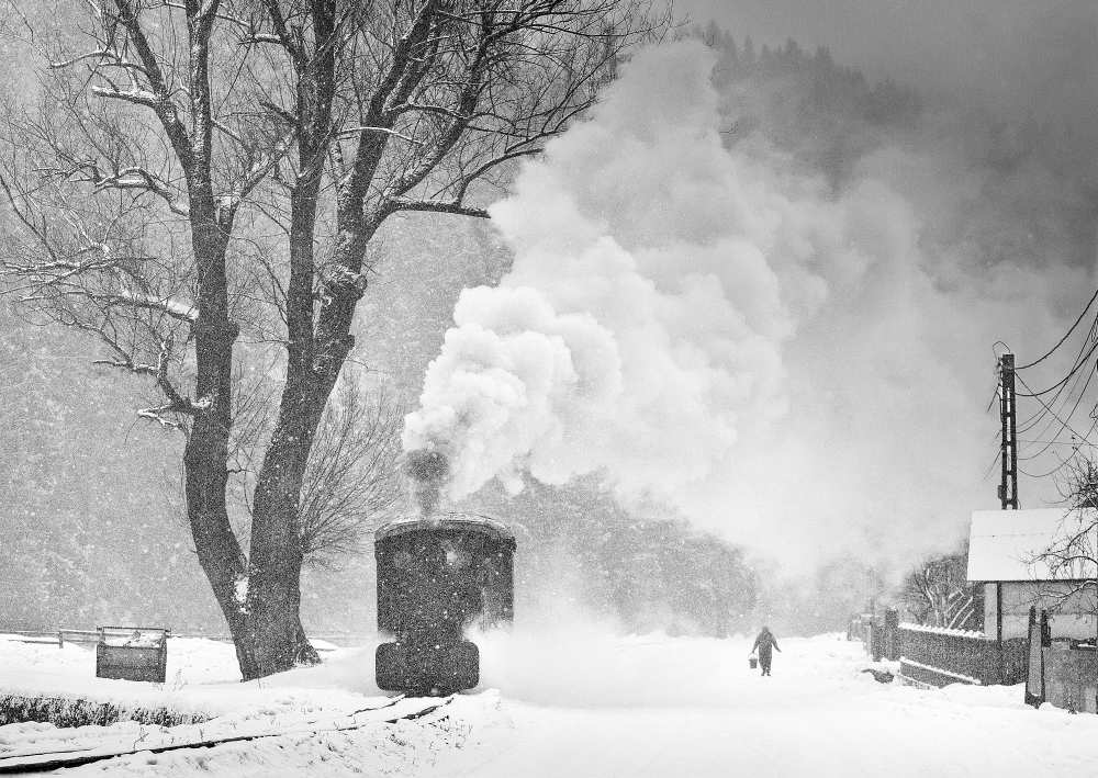 A Winter's Tale von Sorin Onisor