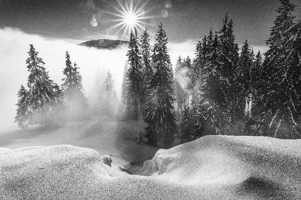 Ein Wintermärchen! von Sorin Onisor