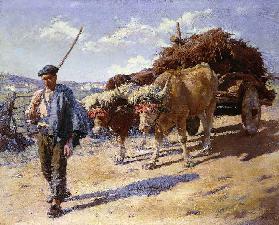 Bauer mit Ochsengespann, Ascain (Peasant with his Bullock Cart, Ascain) 1899