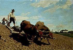 Italienischer Bauer beim Pflügen 1872